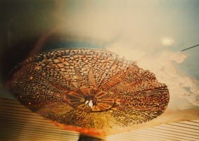 im kleefeld: image 2 0f 4 thumb